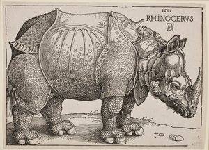 Le Rhinocéros, 1515